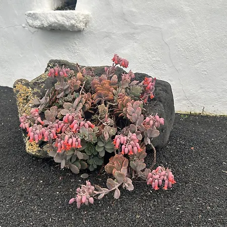 La Cuesta14 別荘 *