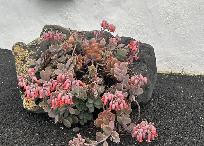 La Cuesta14 別荘 *